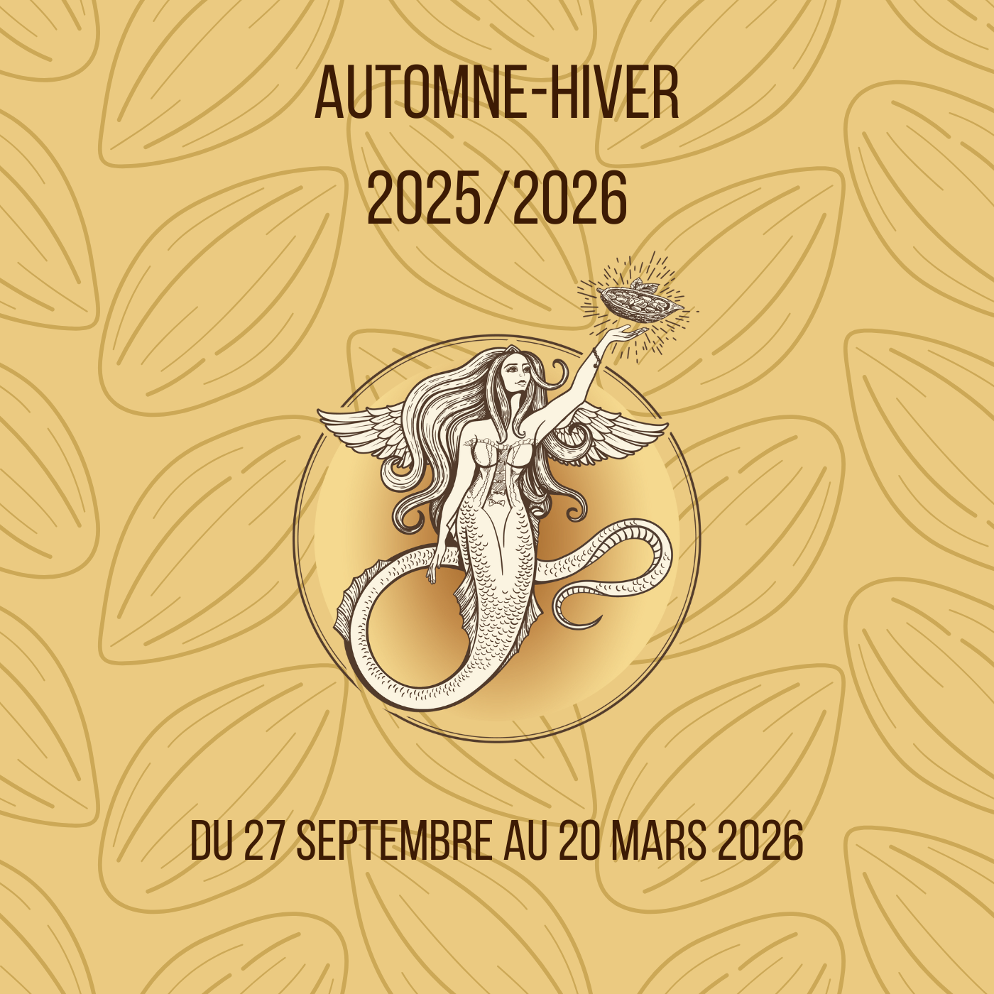 Carte Printemps-Eté  2025 - Carte Automne-Hiver 20252026