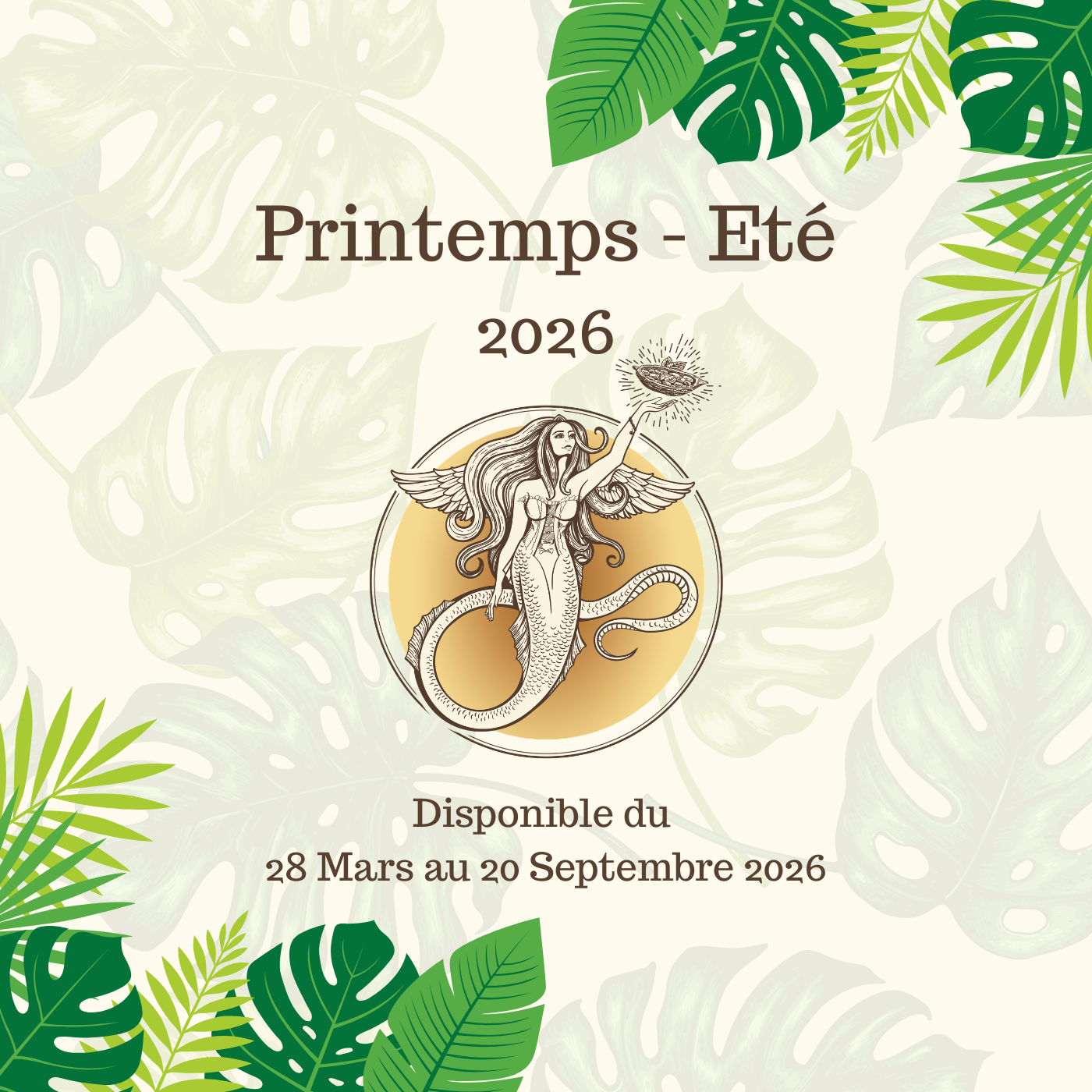 Carte Automne-Hiver 2025-2026 - Printemps – Eté 2026